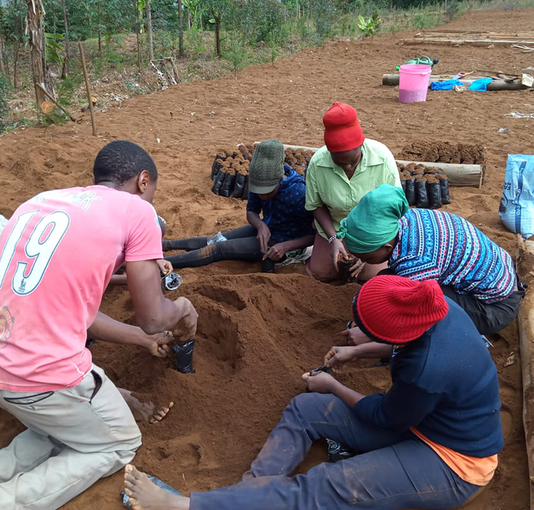 This image for Image Layouts addon