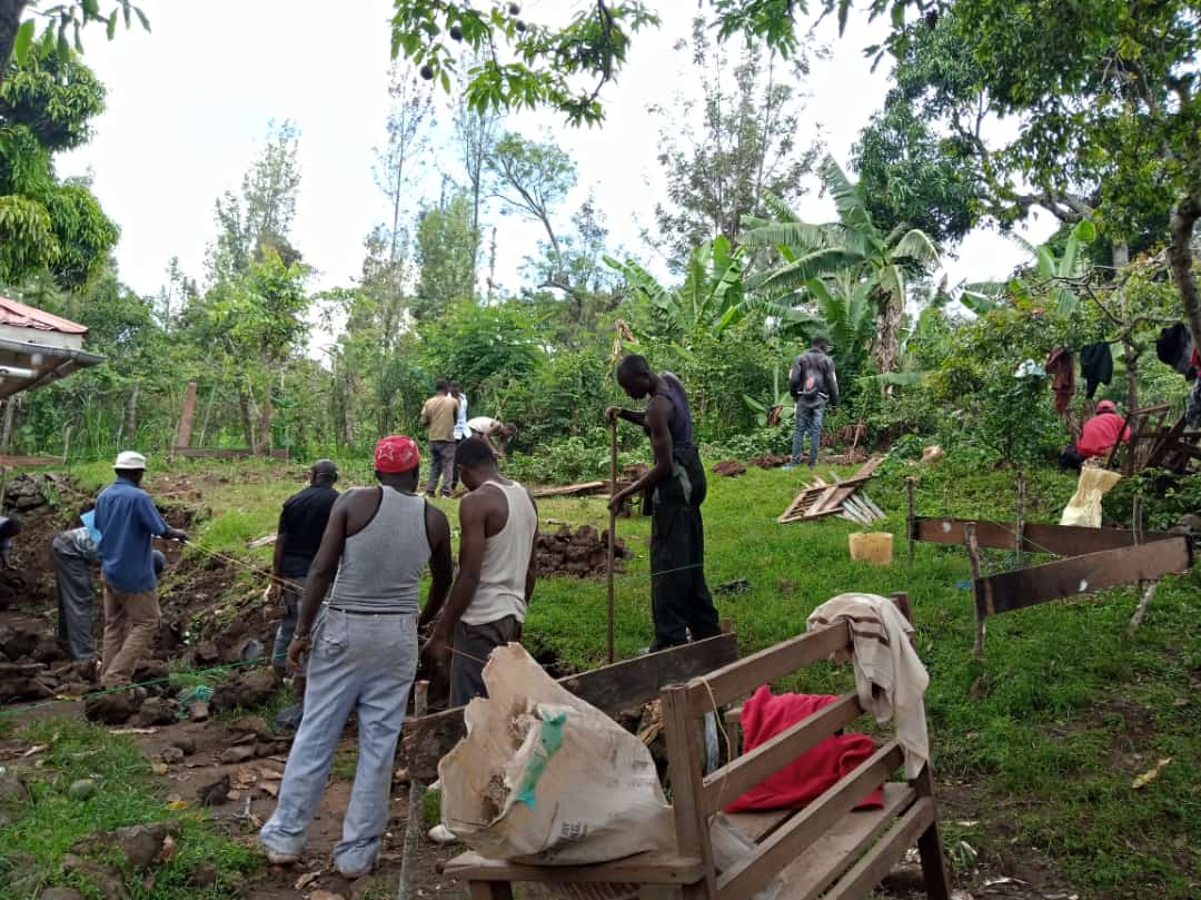 This image for Image Layouts addon